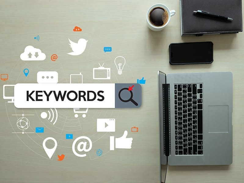 5 Dog Digital Marketing And Web Design