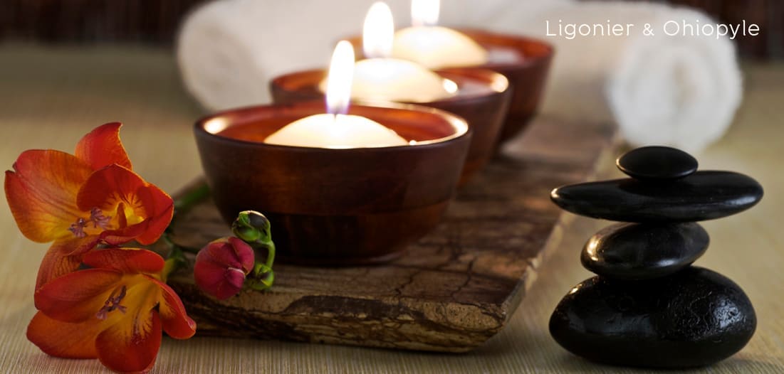 A Simple Touch Spa