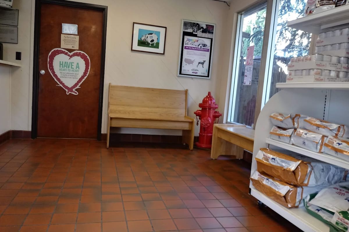 Adobe Animal Hospital & Laser Surgery Center