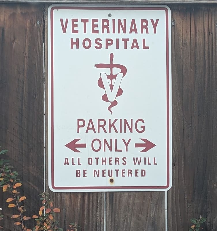 Adobe Animal Hospital