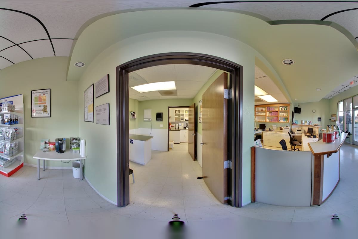 Akaal Pet Hospital