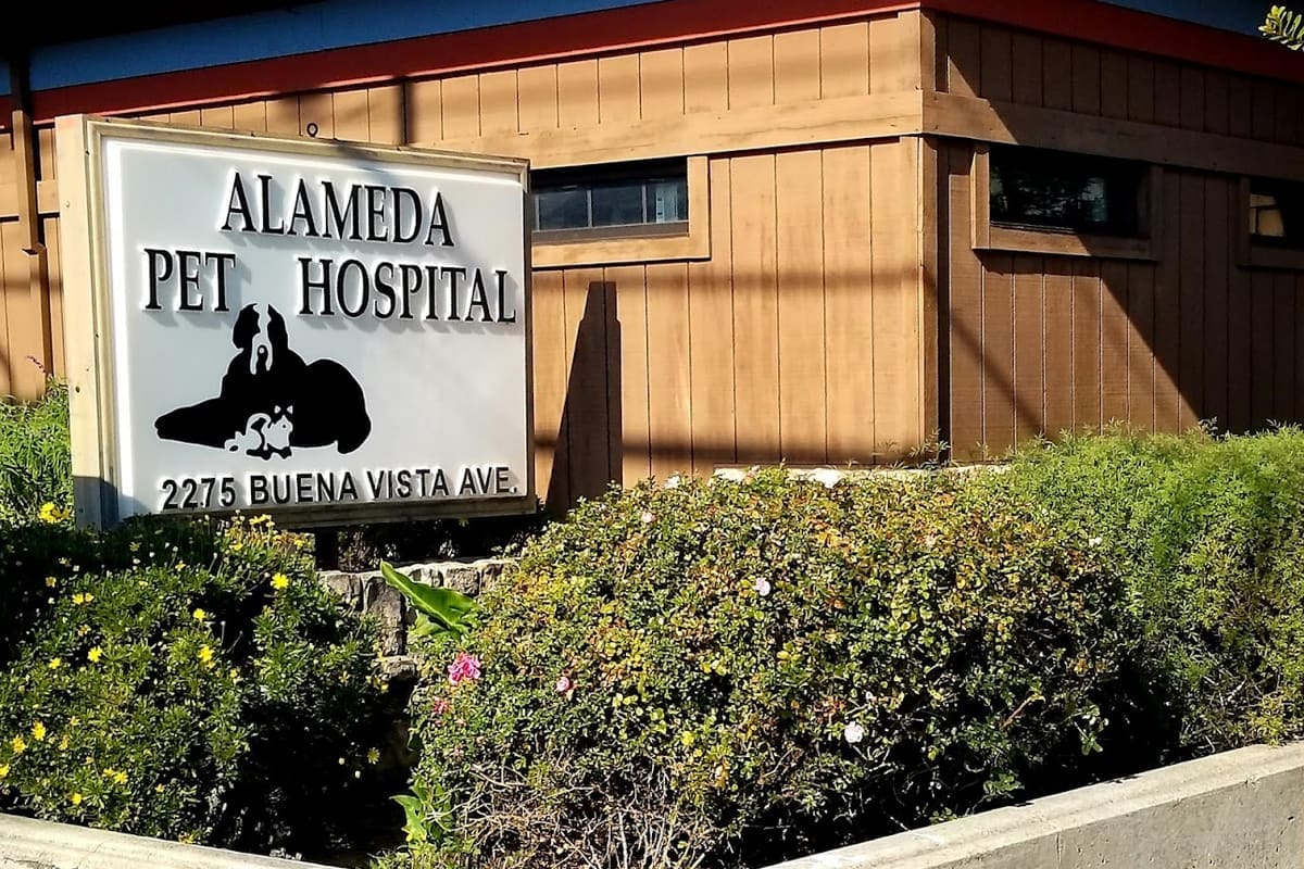 Alameda Pet Hospital