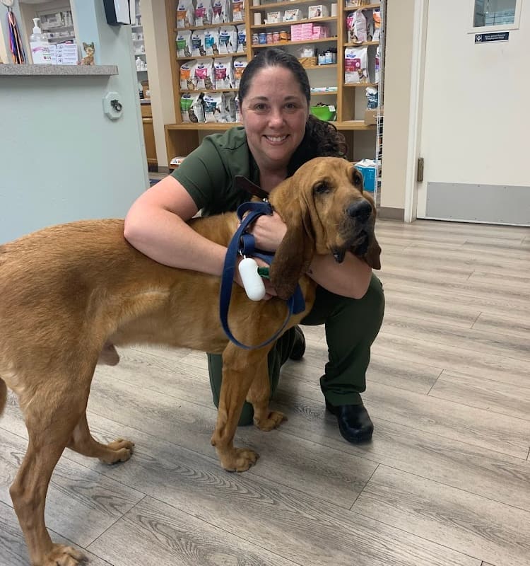 Alamo Animal Hospital