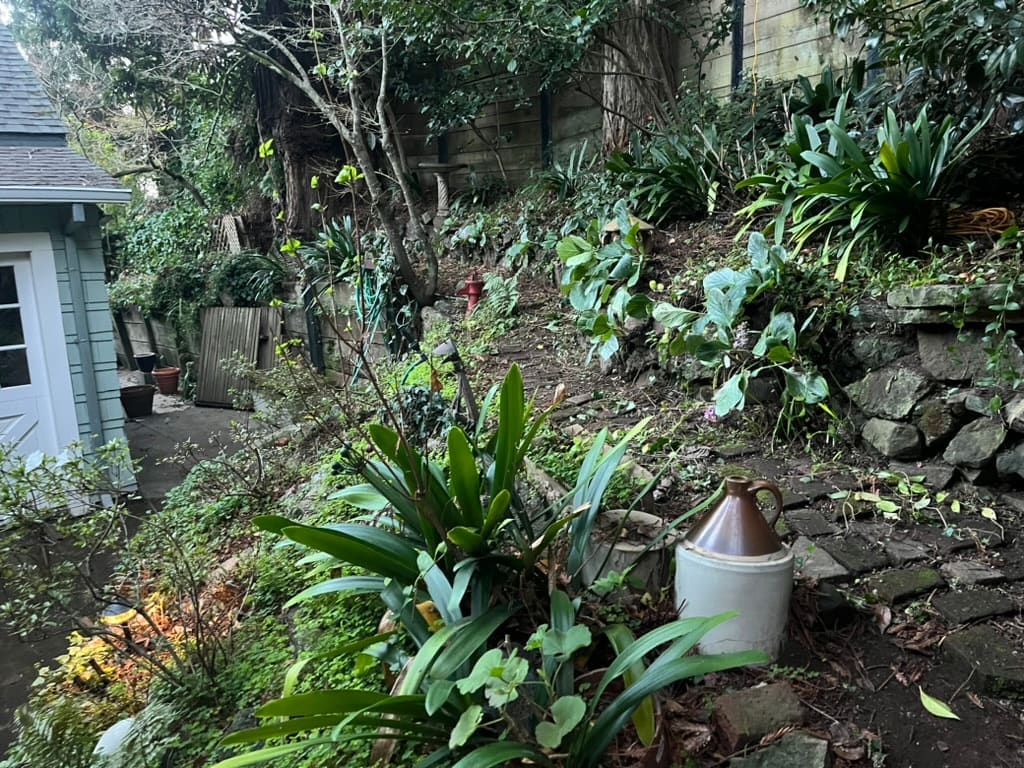 Alba Growth - Mill Valley