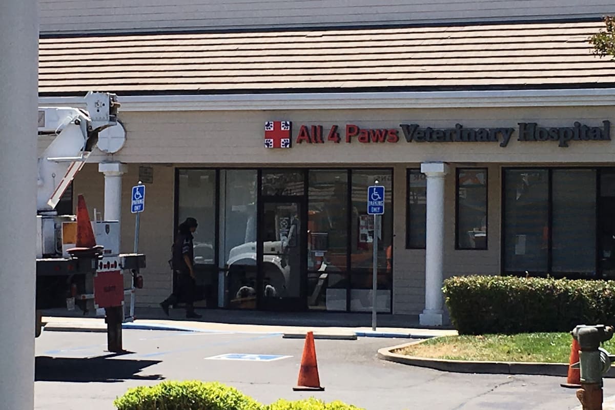 All 4 Paws Veterinary Hospital