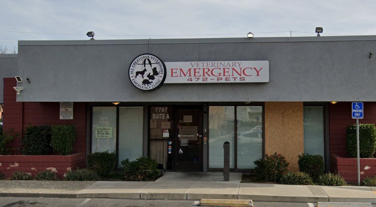 All Creatures Veterinary Emergency Clinic | Stockton