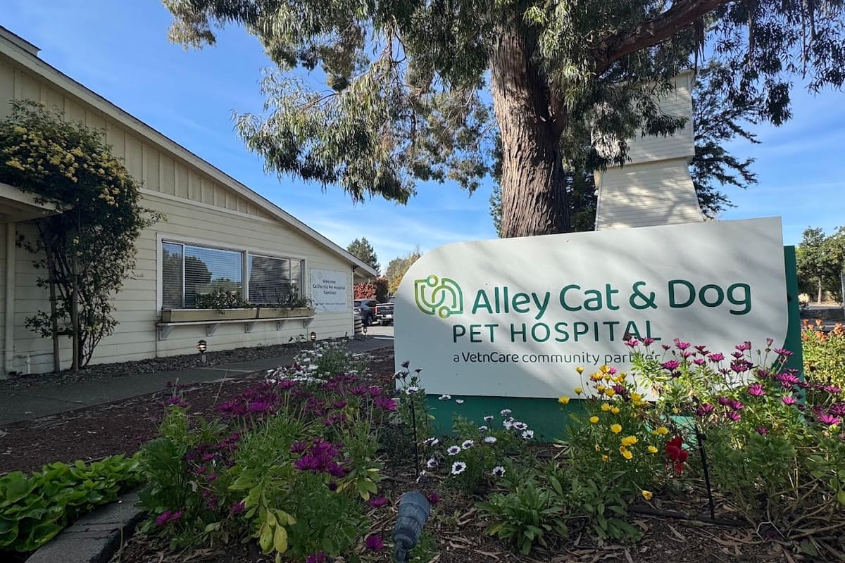 Alley Cat & Dog Pet Hospital
