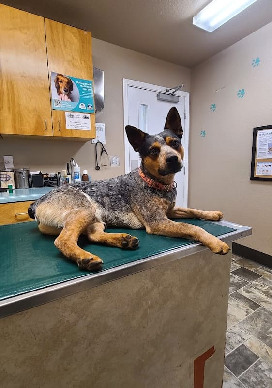 Alpine Animal Hospital