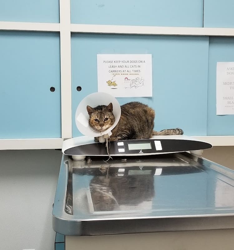 Alta Vista Veterinary Clinic
