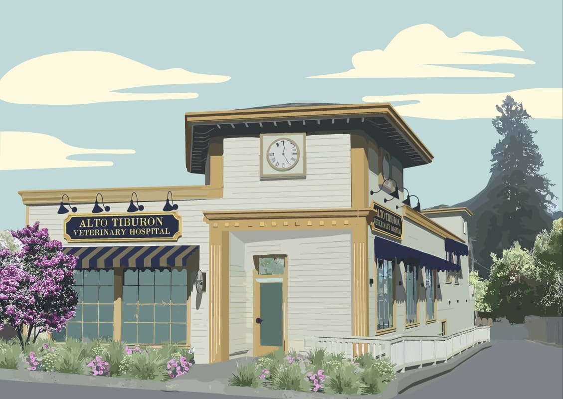 Alto Tiburon Veterinary Hospital