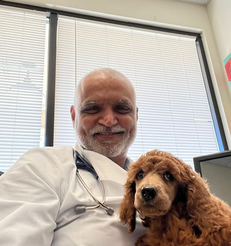 American Canyon Veterinary Hospital