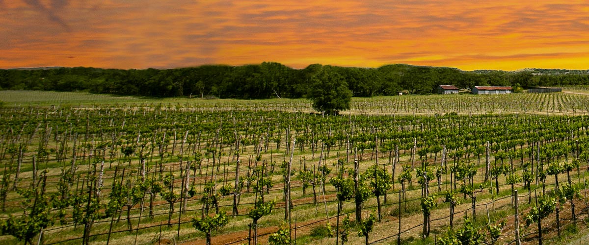 Anderson Vacation Property Management Healdsburg