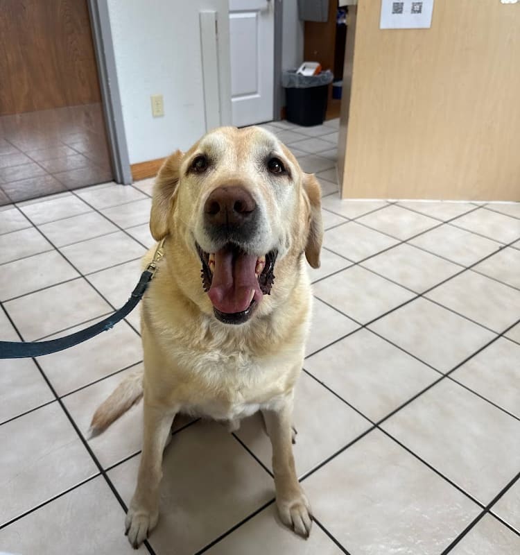 Animal Clinic of Benicia