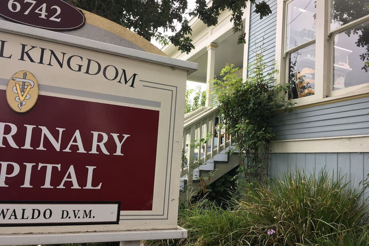 Animal Kingdom Veterinary Hospital