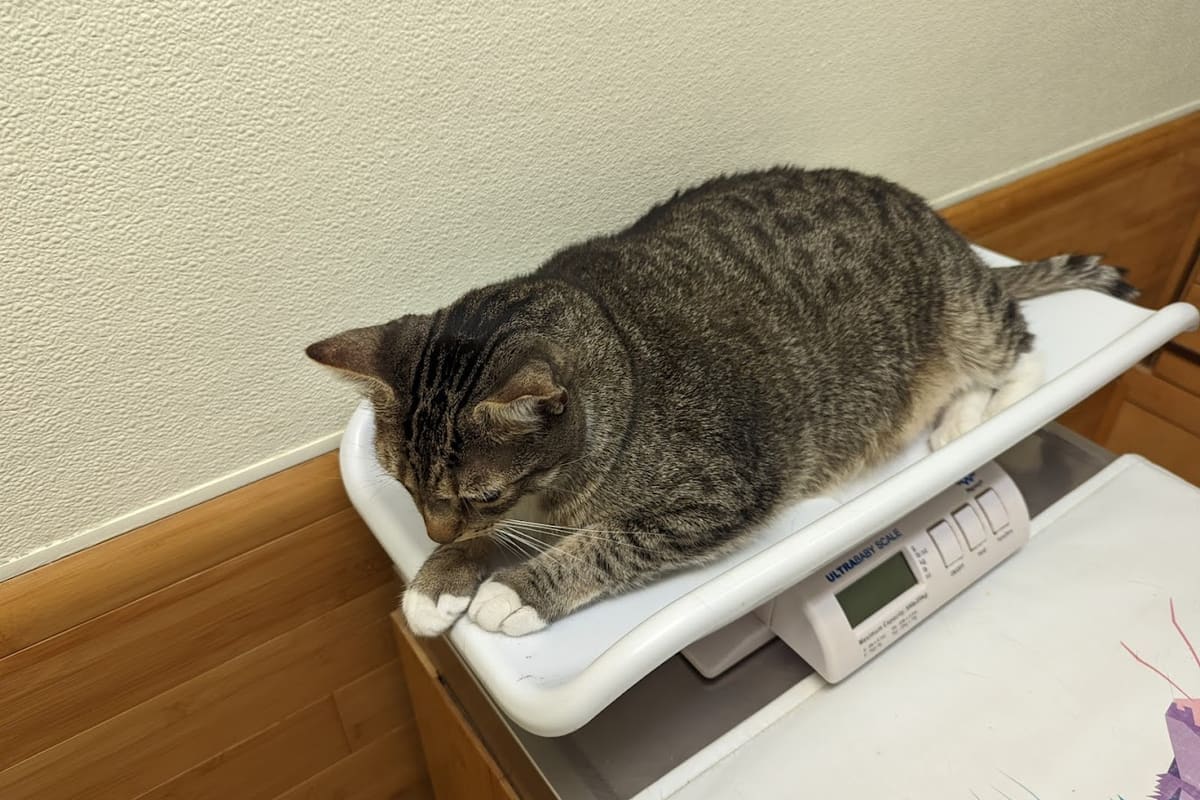 Animal Medical Center San Rafael