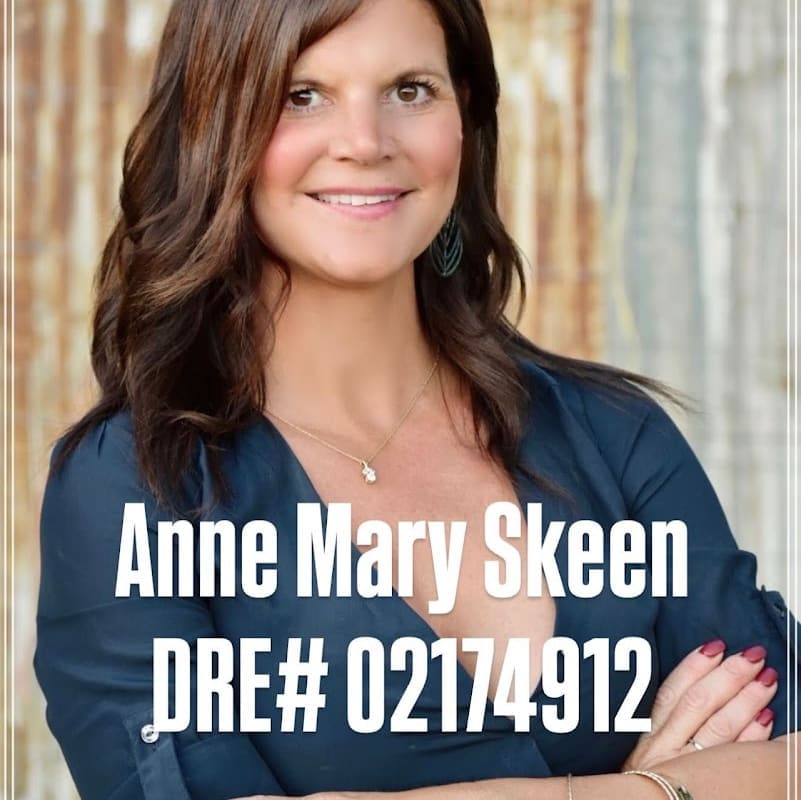 Anne Mary Skeen - Realtor® DRE# 02174912 Lake County, California