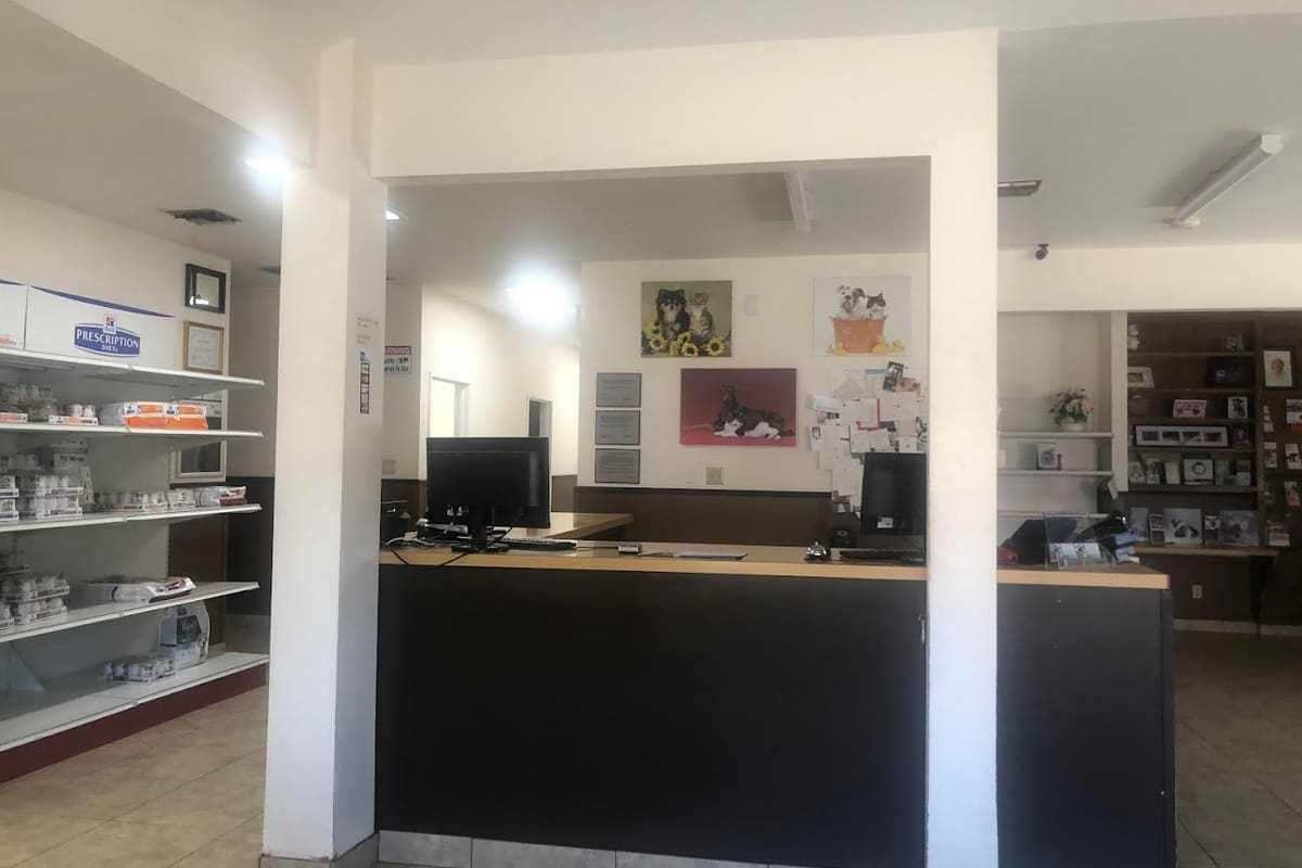 Apollo Veterinary Hospital
