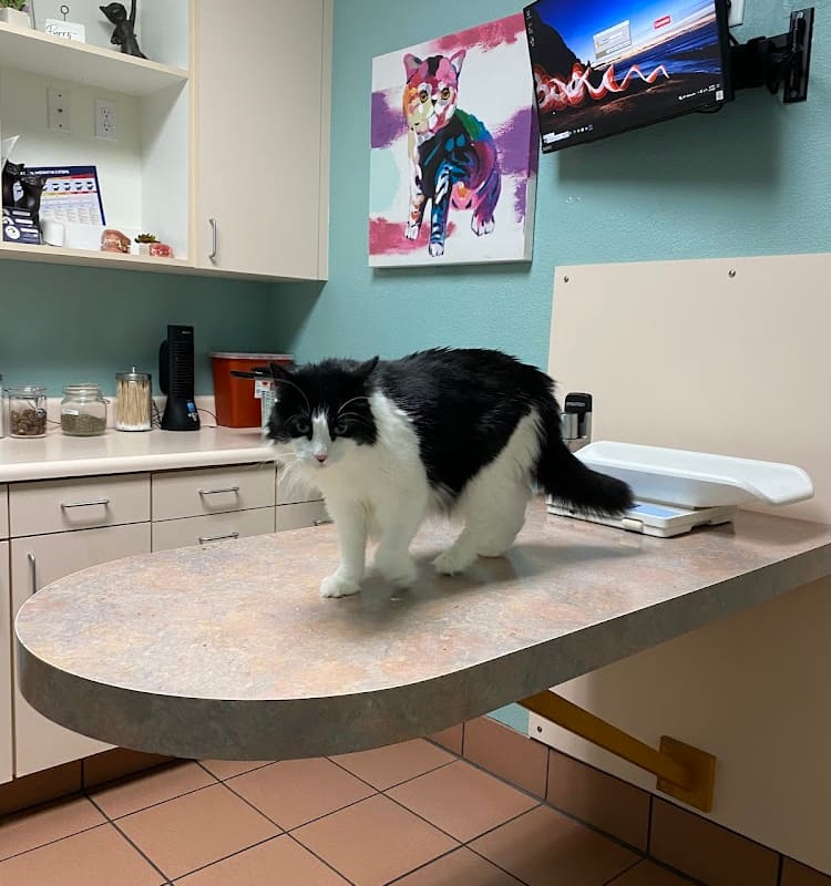 Arden Animal Hospital