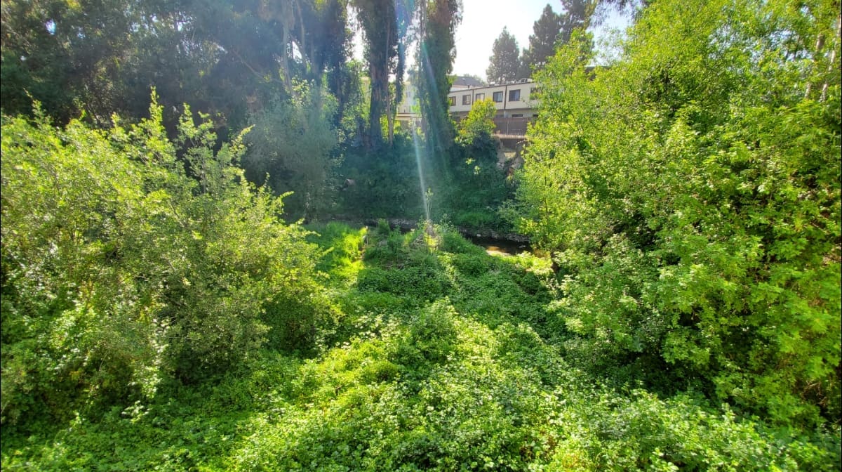 Arzate's Landscape and Gardening Services. Commercial and residential.