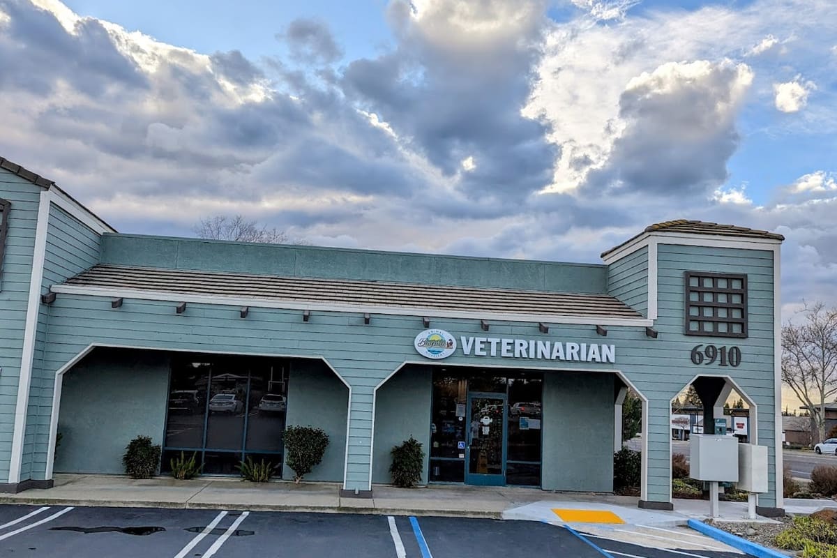 Bayside Animal Hospital