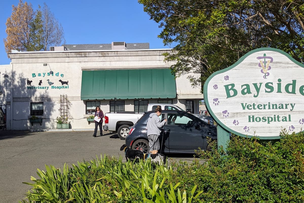 Bayside Veterinary Hospital