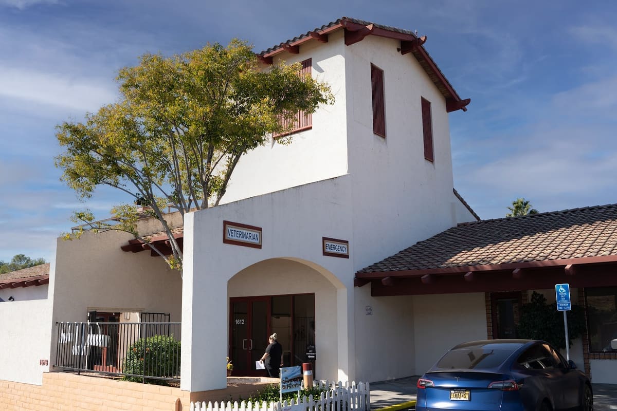 Beacon Veterinary Specialists