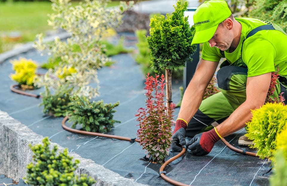 Berkeley Landscape Design