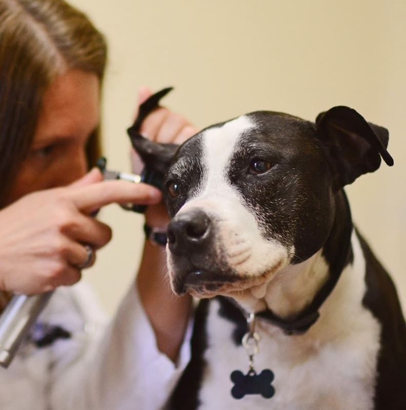 Bishop Ranch Veterinary Center & Urgent Care