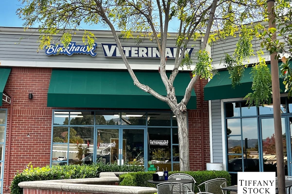 Blackhawk Veterinary Hospital