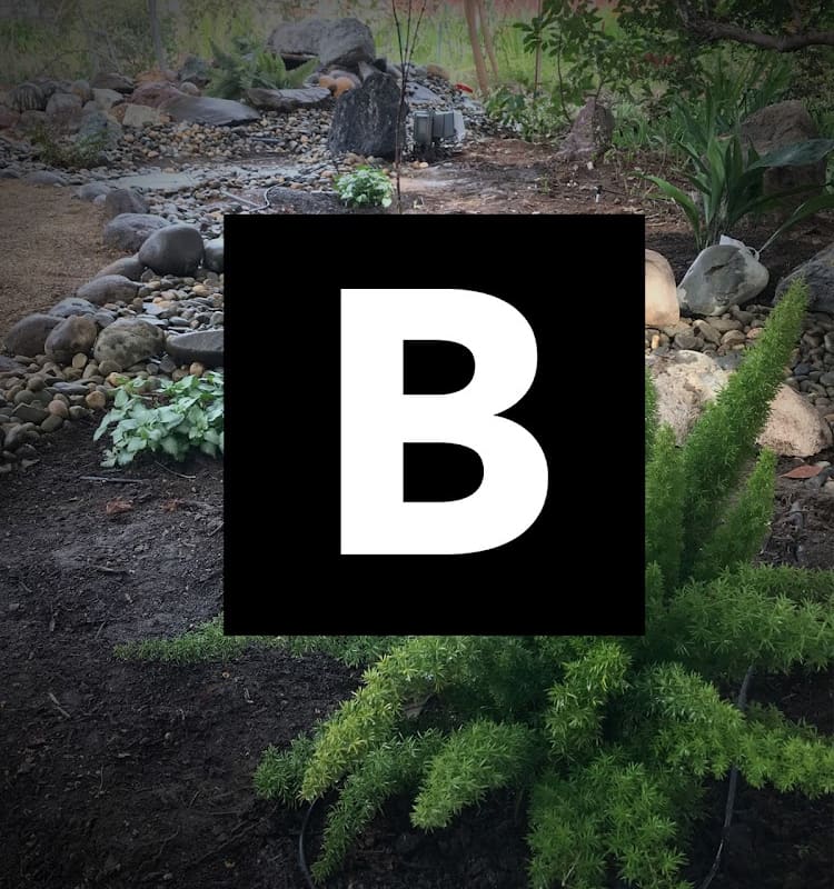 Bloom Landscaping