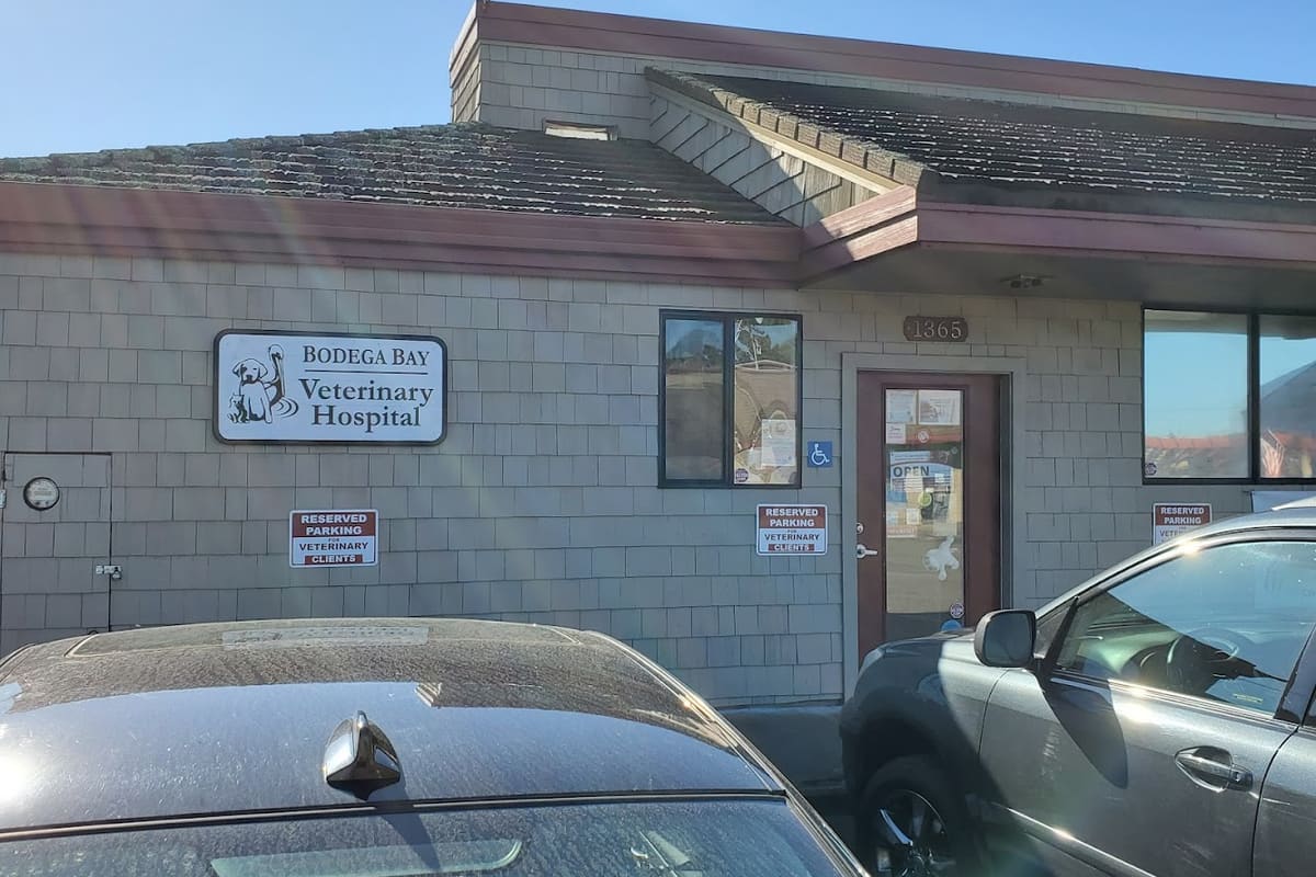 Bodega Bay Veterinary Hospital