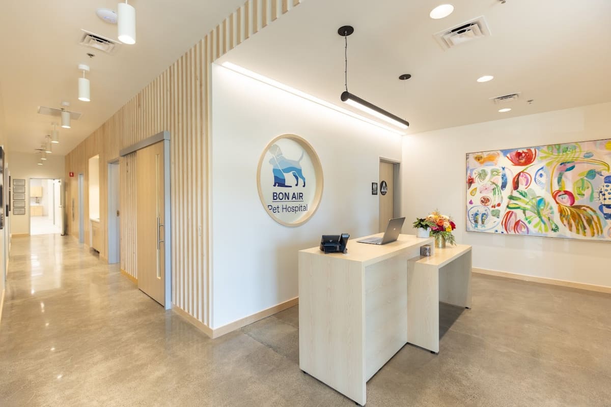 Bon Air Pet Hospital