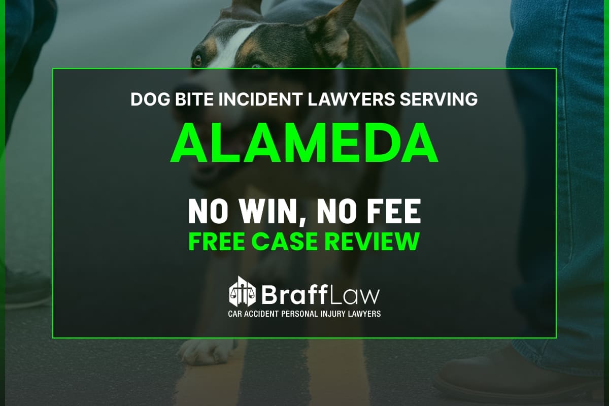 Braff Law Car Accident Personal Injury Lawyers