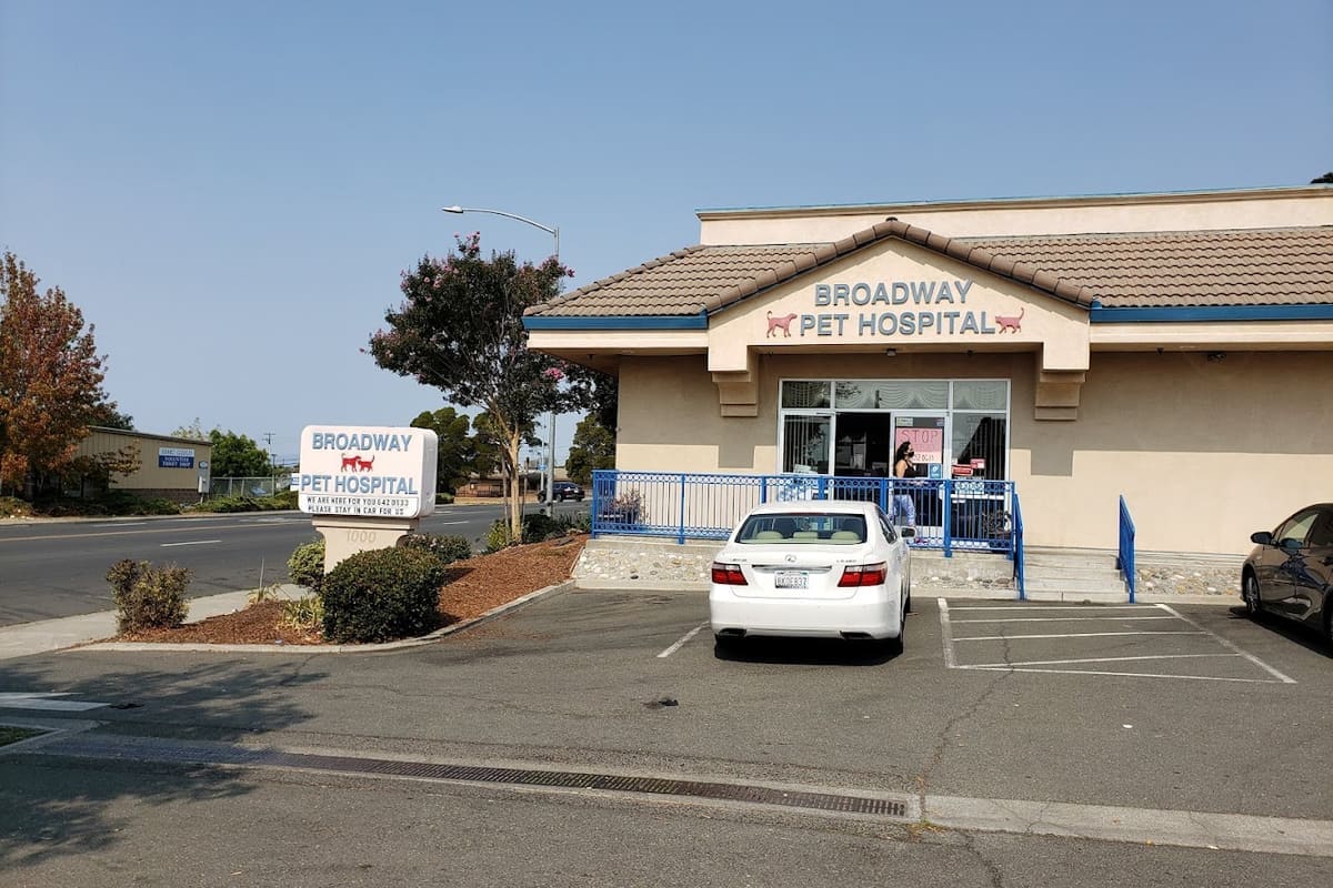 Broadway Pet Hospital