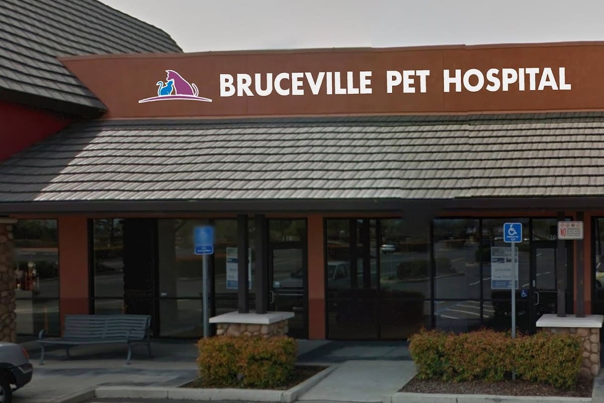 Bruceville Pet Hospital