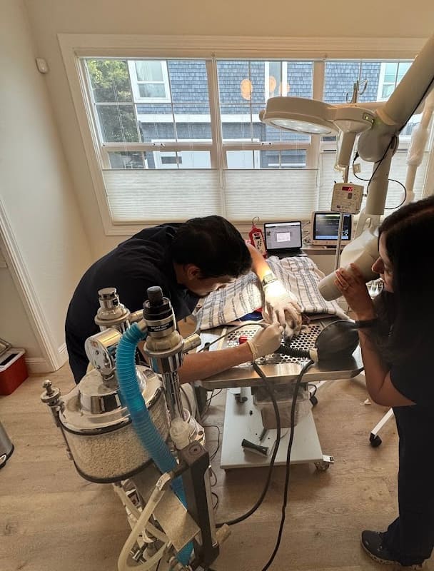 Camino alto Veterinary Hospital & Wellness Center