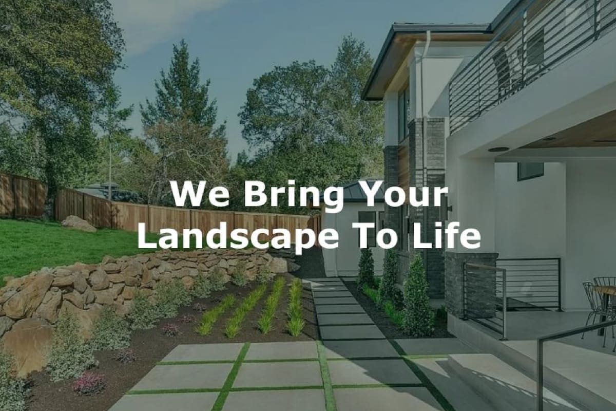 Canepa Landscaping