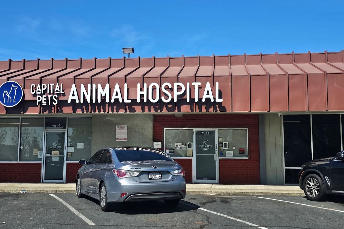 Capital Pets Animal Hospital - Sacramento