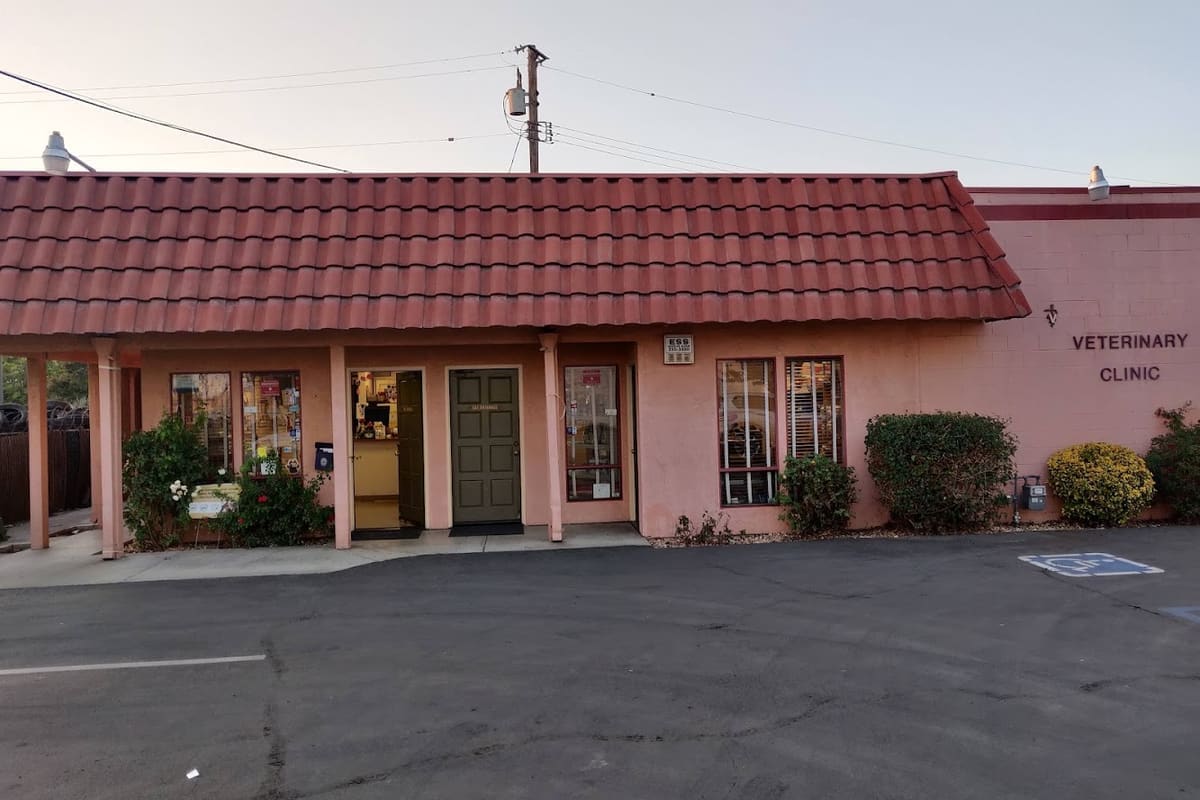 Caring Pet Hospital