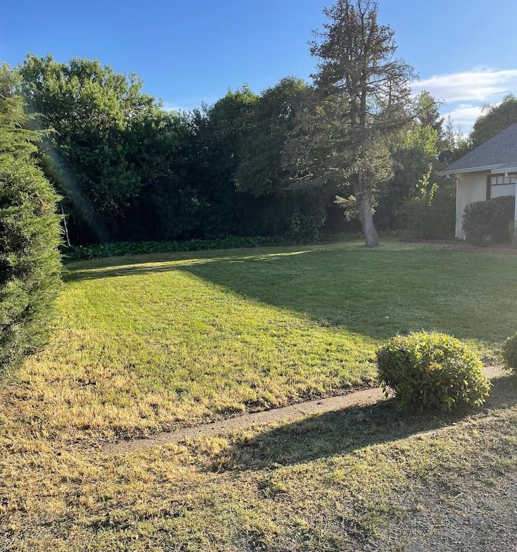 Carlos Lawn Care Service
