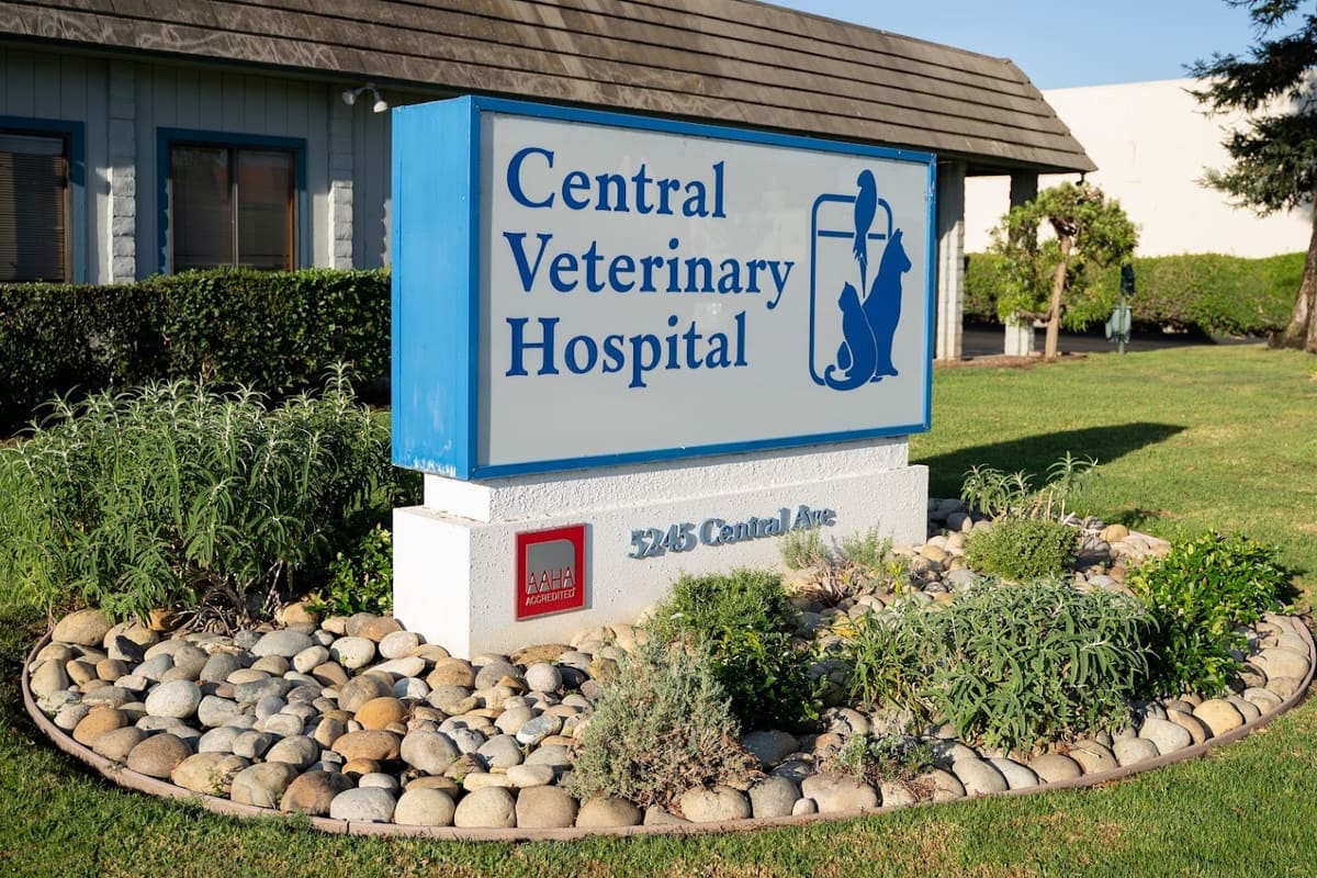 Central Veterinary Hospital
