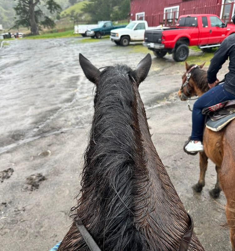 Chanslor Ranch