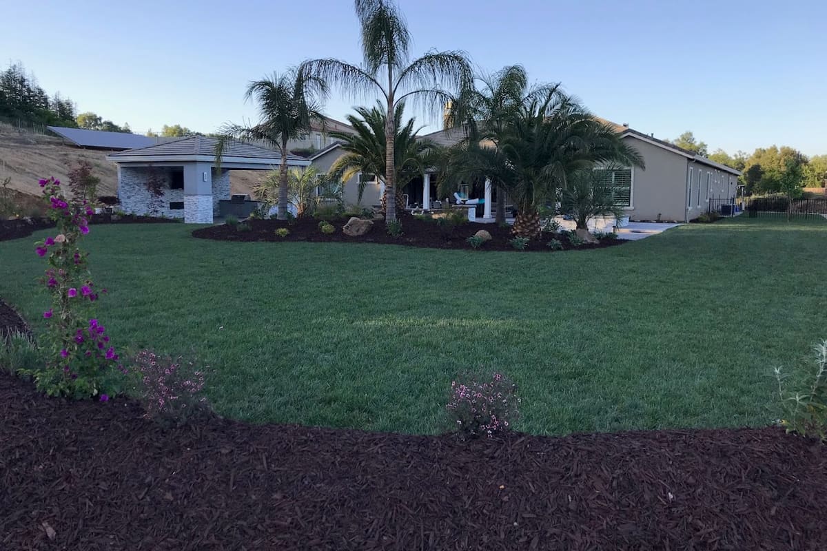 Cima's Landscape & Maintenance
