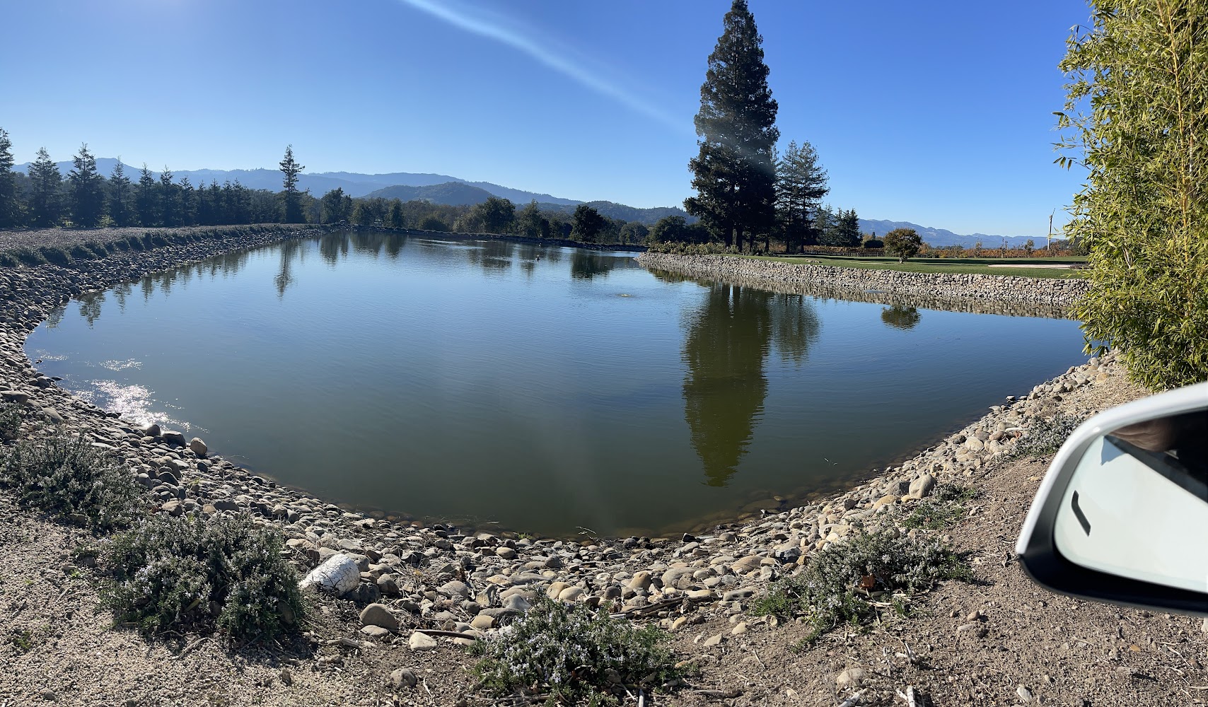 Clear Pond Solutions — Water Treatment in Petaluma, CA