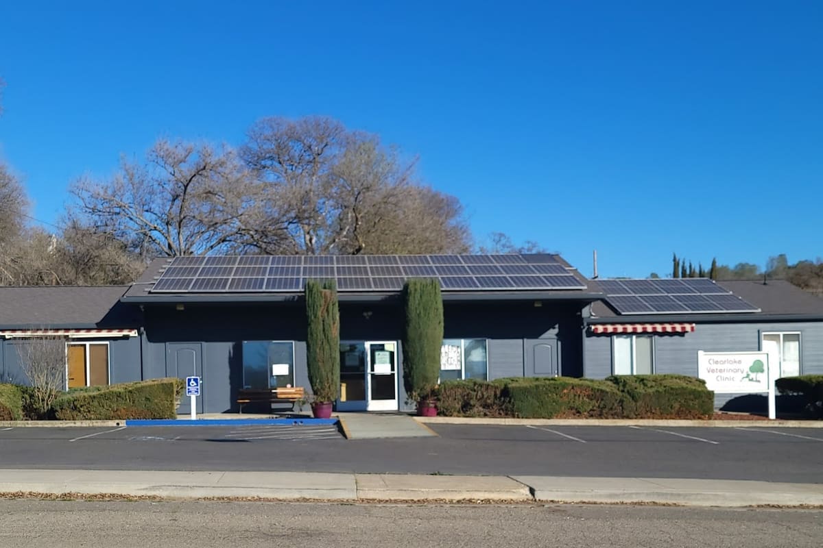 Clearlake Veterinary Clinic