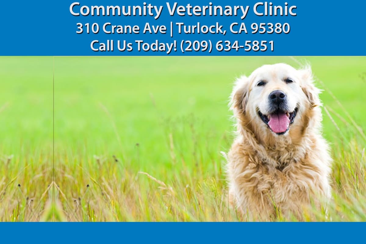 Community Veterinary Clinic