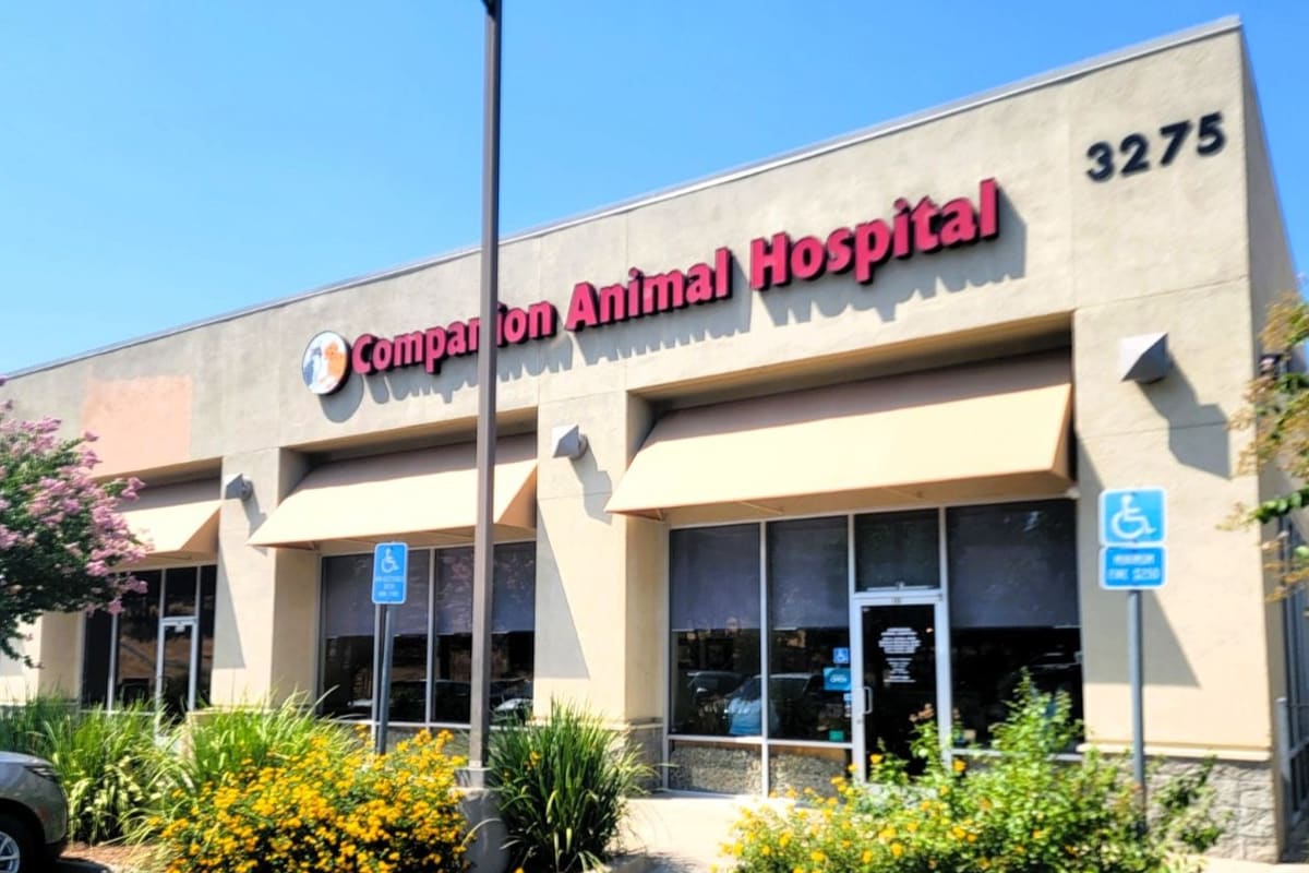 Companion Animal Hospital