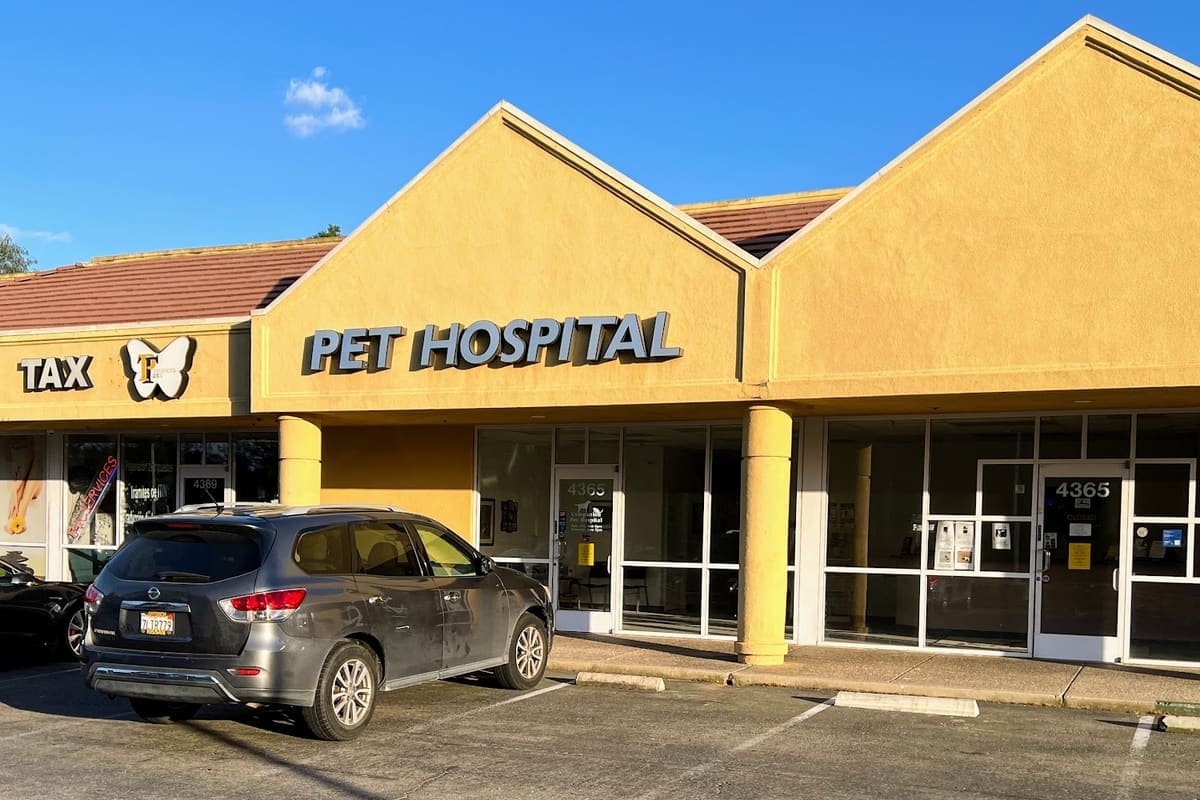 Companion Pet Hospital