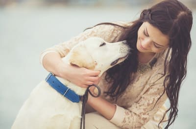 Concord Veterinary Clinic