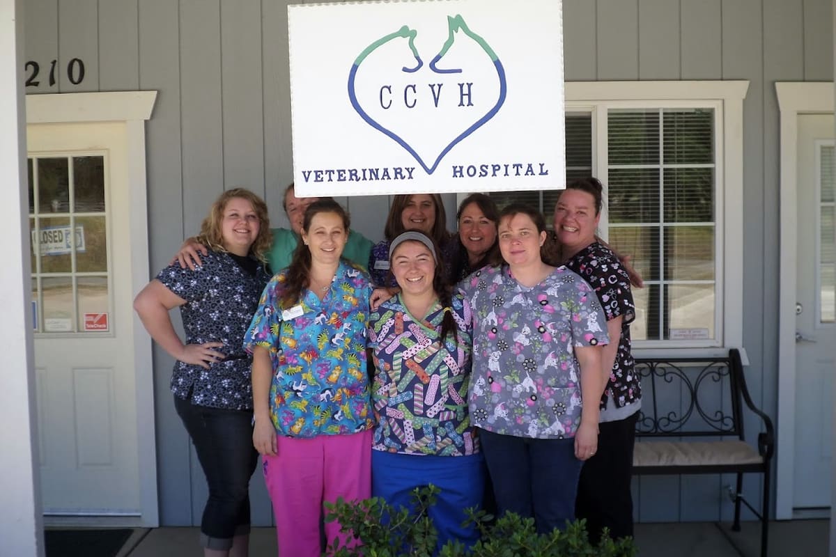 Country Corners Veterinary Hospital